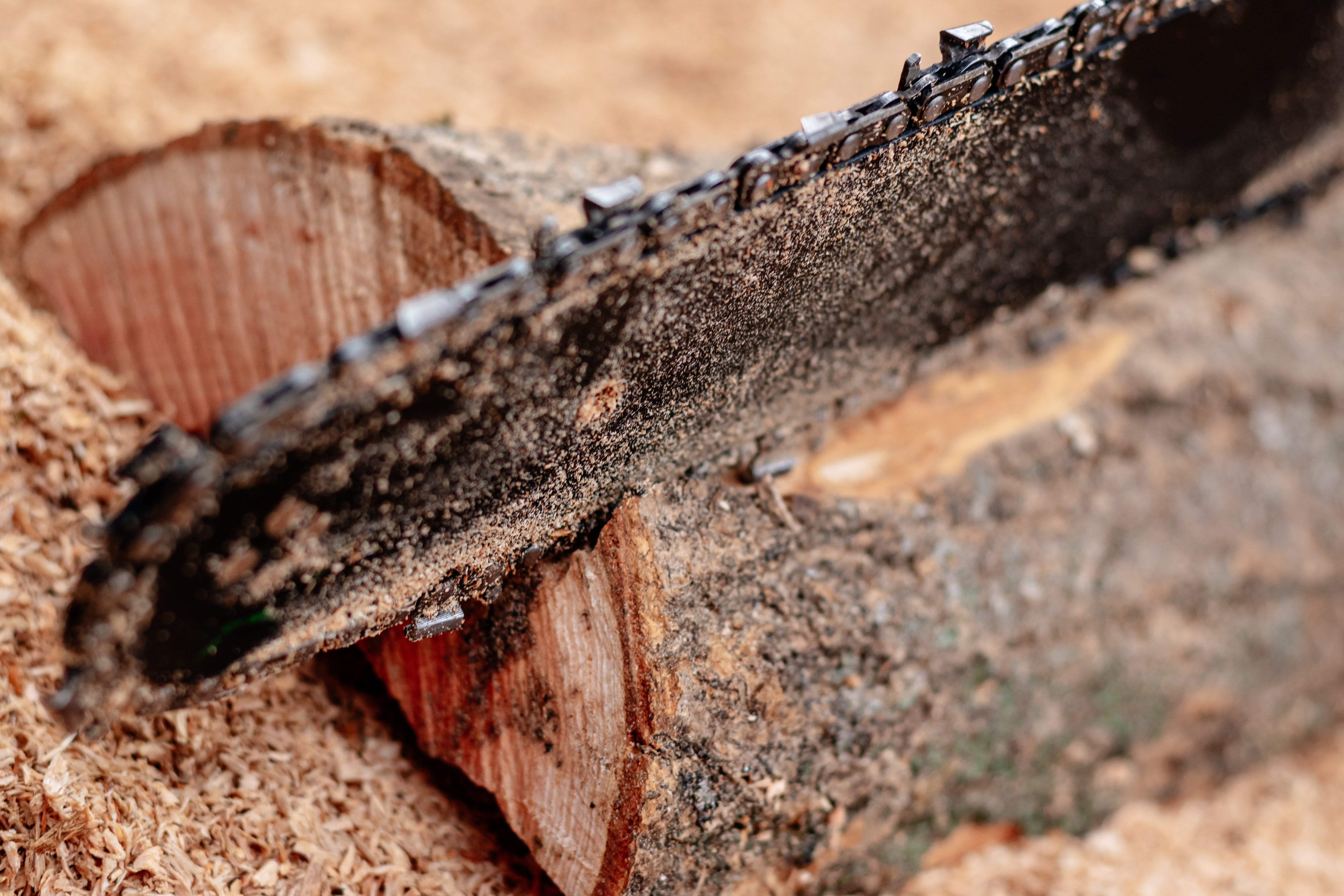 Black Guide Bar Cutting Wood