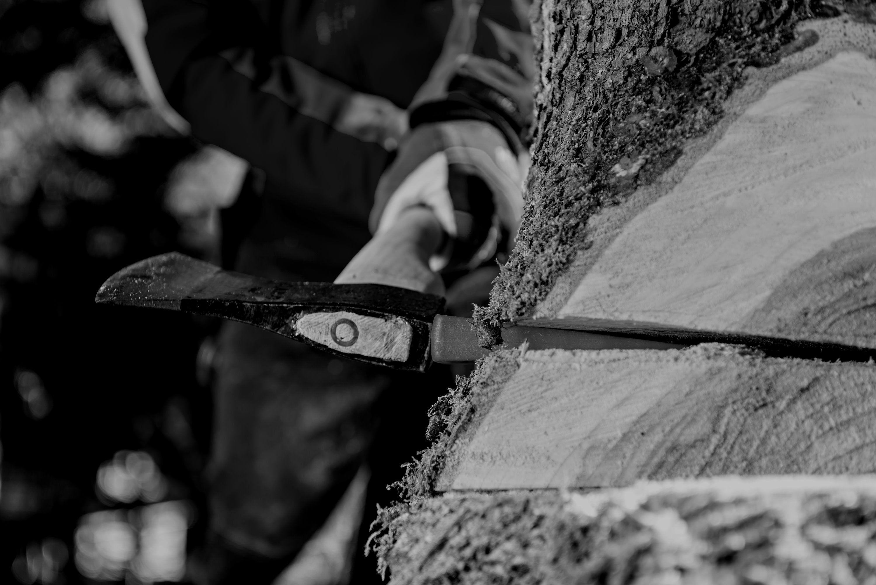 Felling Wedge and Axe