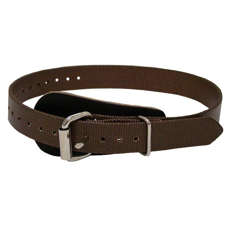 Buckingham 2649 Upper Climb Straps