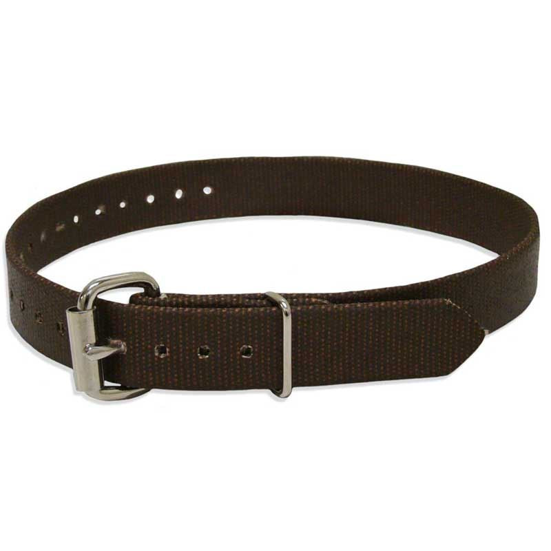 Buckingham 2639 Upper Climb Strap